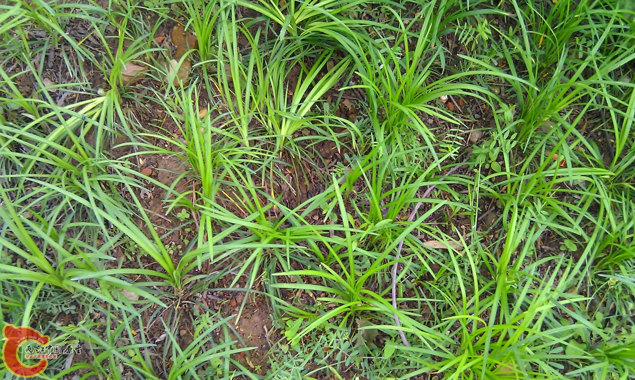 20120429-1024.jpg