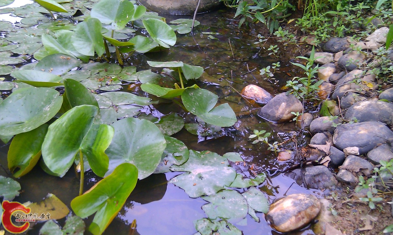 20120429-1034.jpg