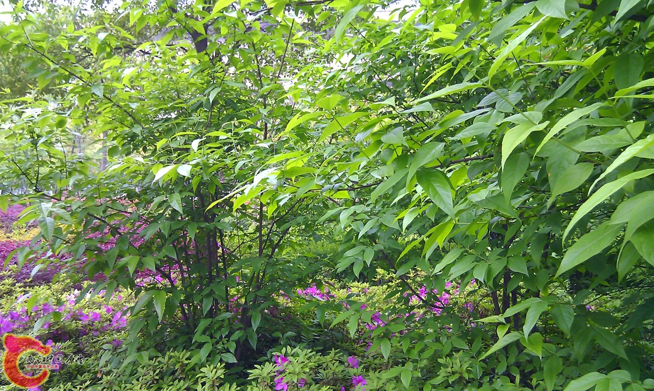 20120429-1043.jpg