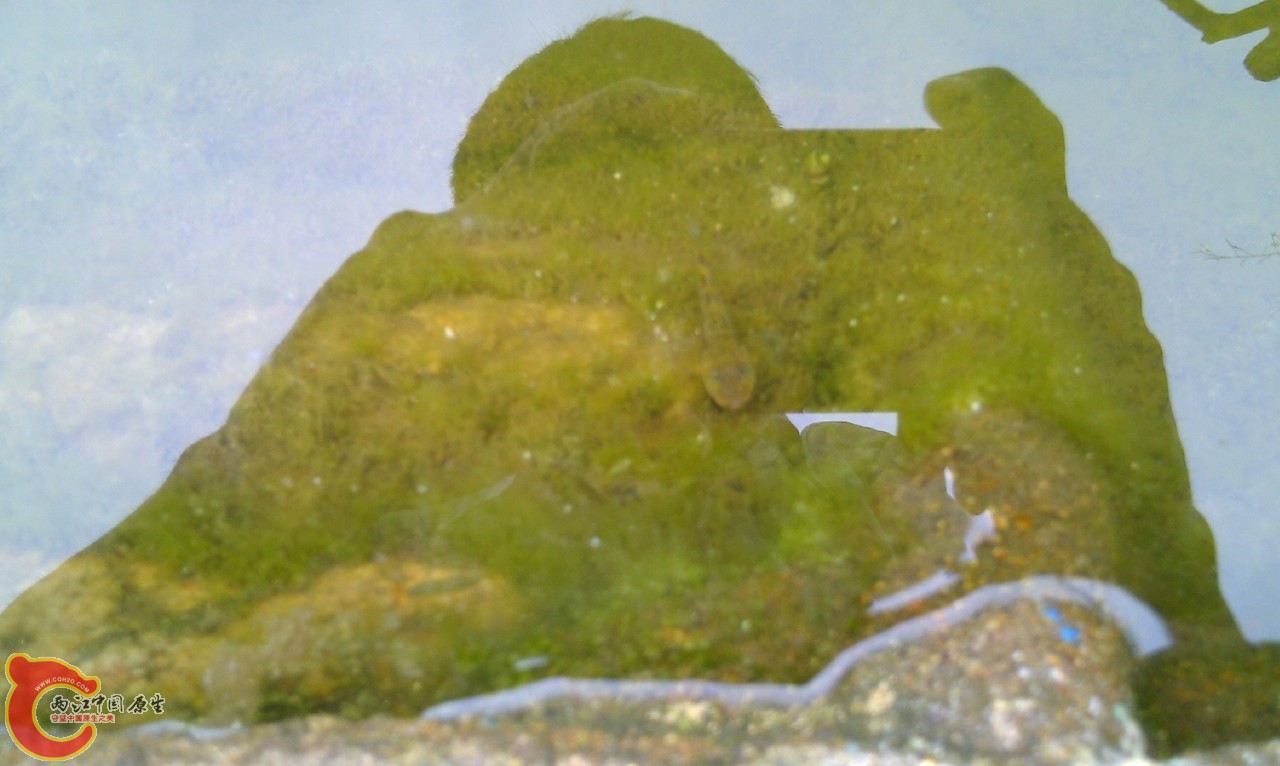 20120429-952.jpg