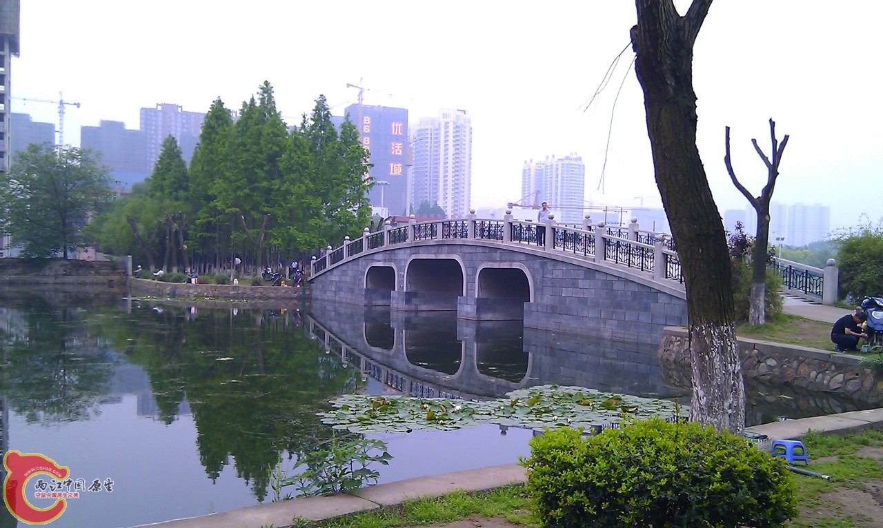 20120429-968.jpg
