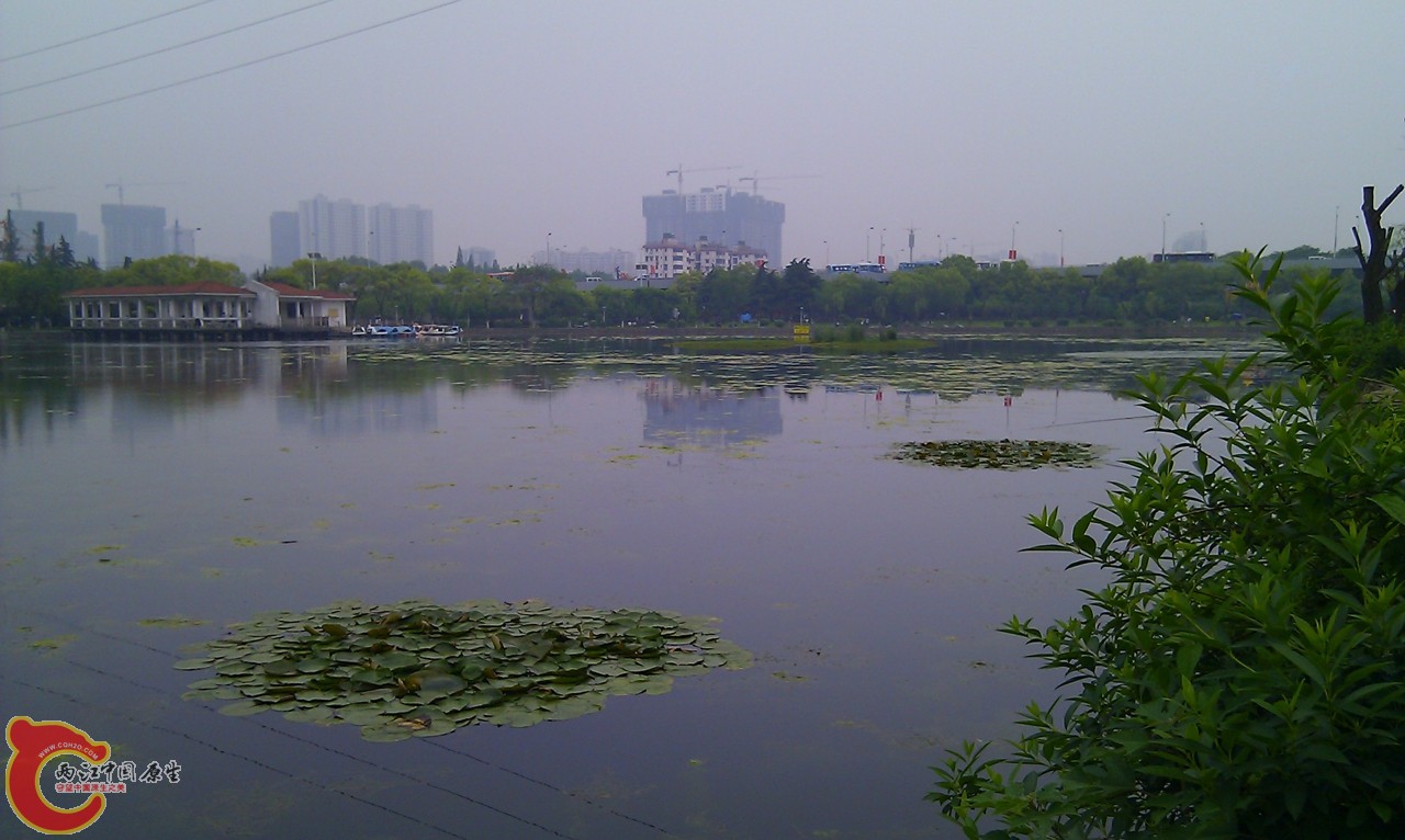 20120429-971.jpg