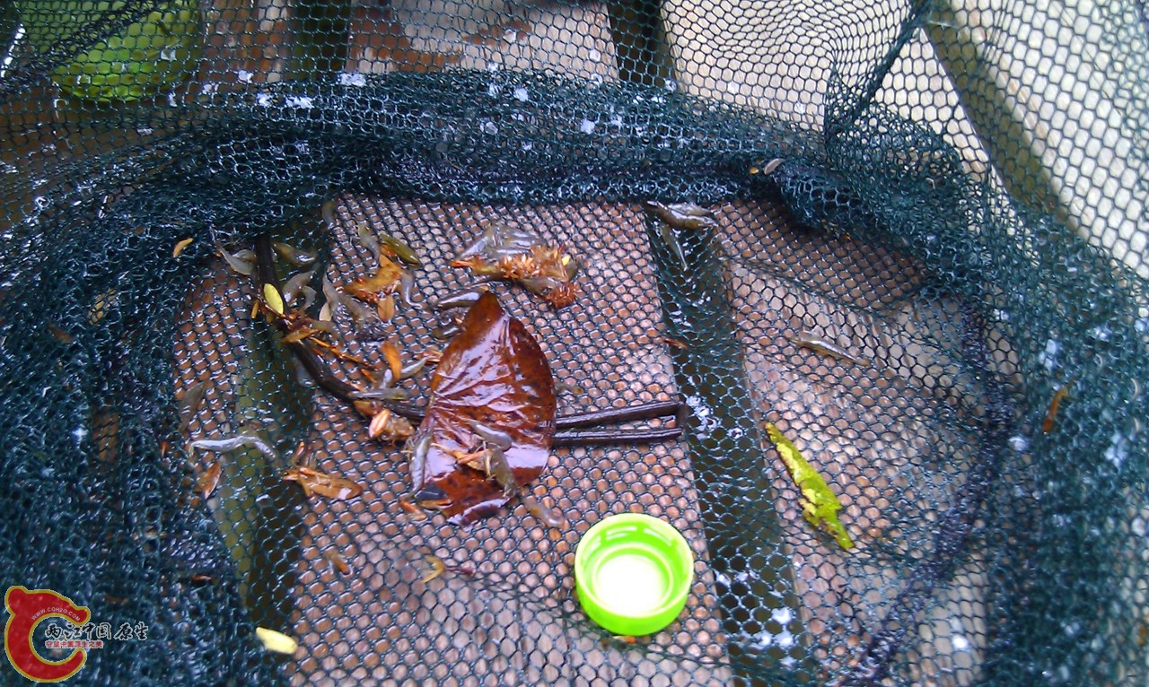 20120429-1030.jpg