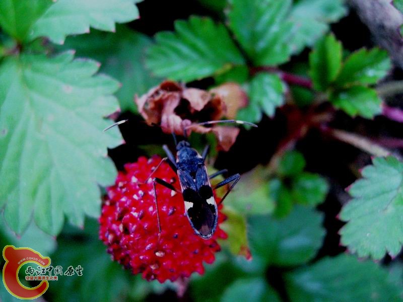 照片 038.jpg