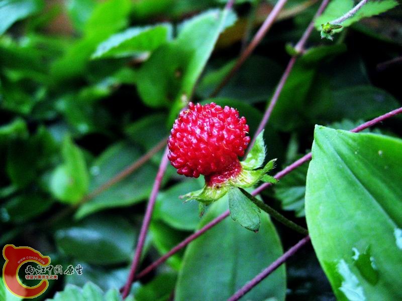 照片 039.jpg