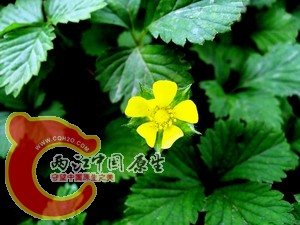 照片 040.jpg