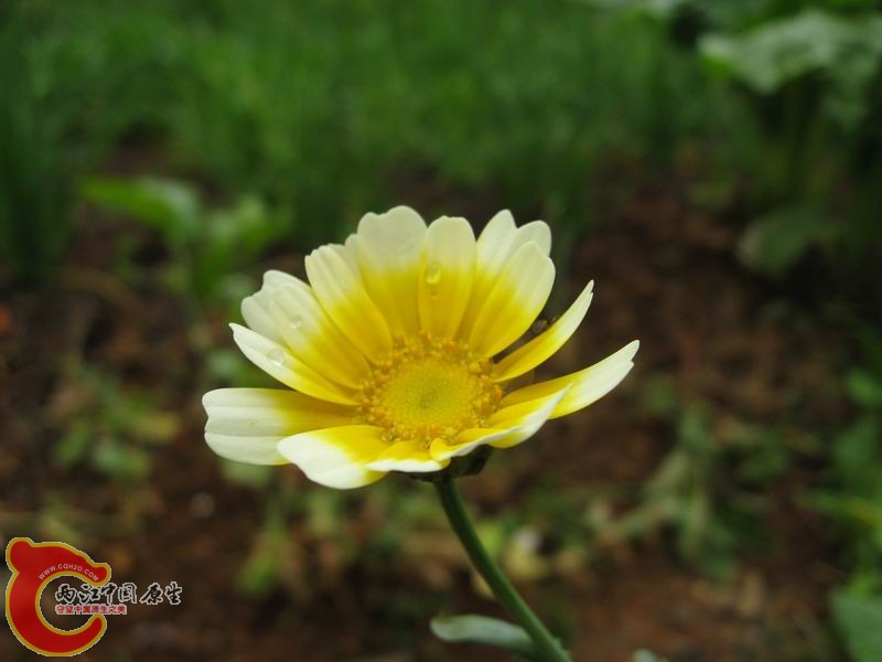 照片 050.jpg
