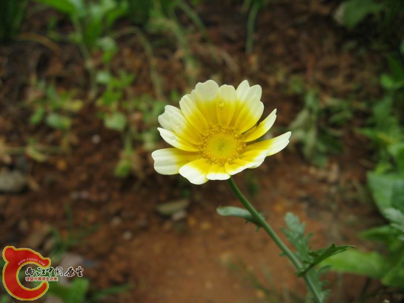 照片 049.jpg