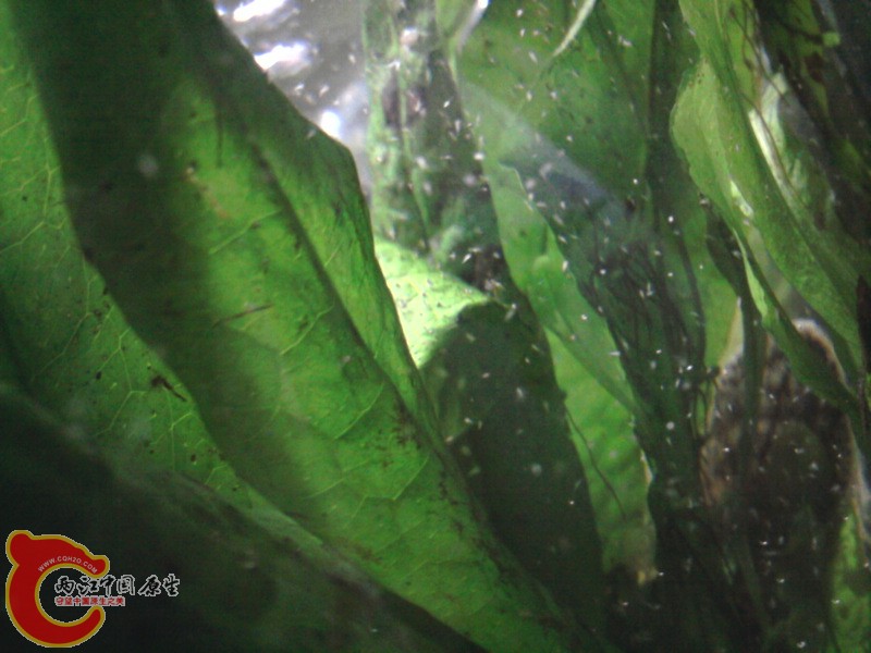 照片-0012.jpg