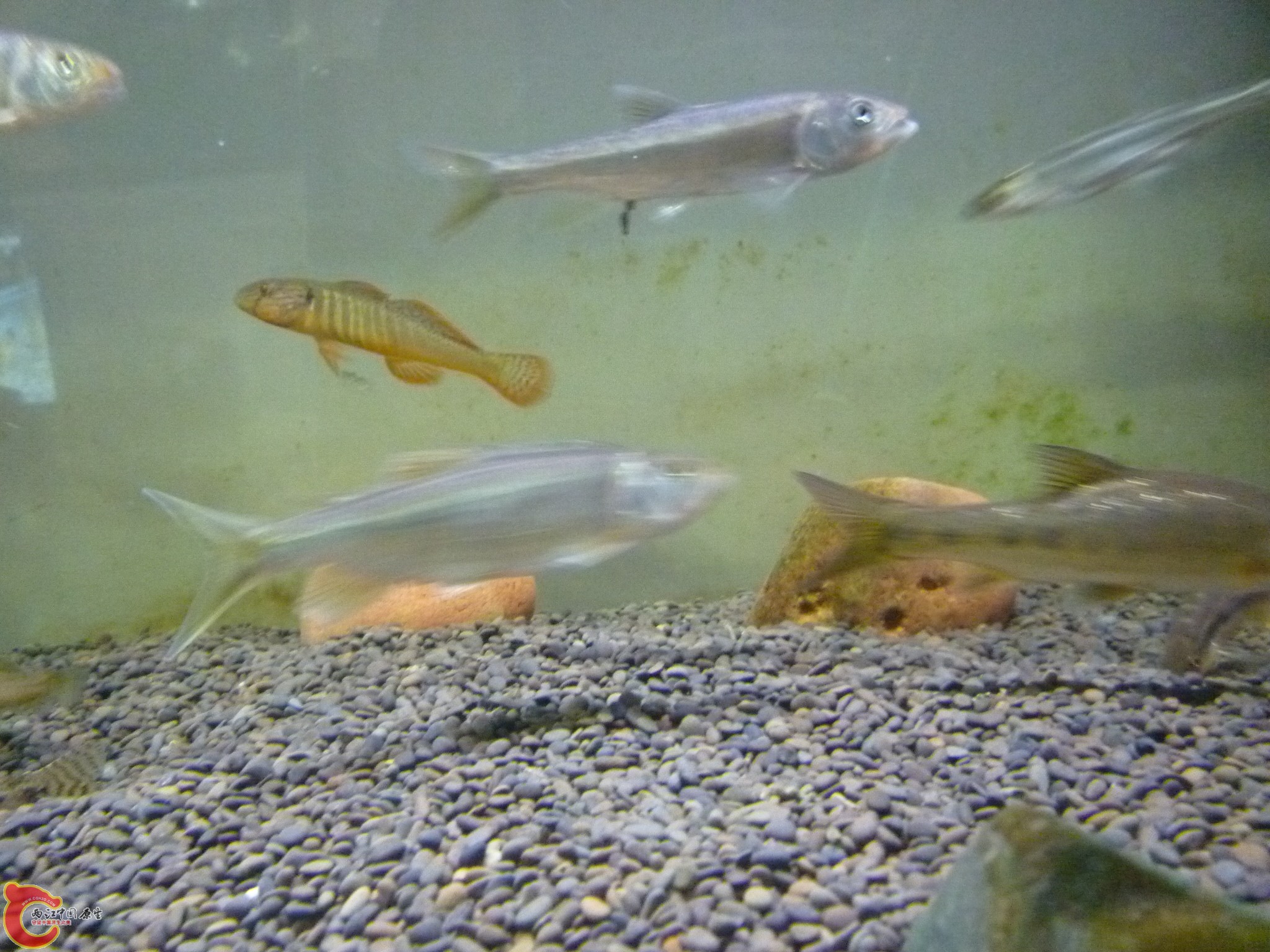 P1050491.JPG