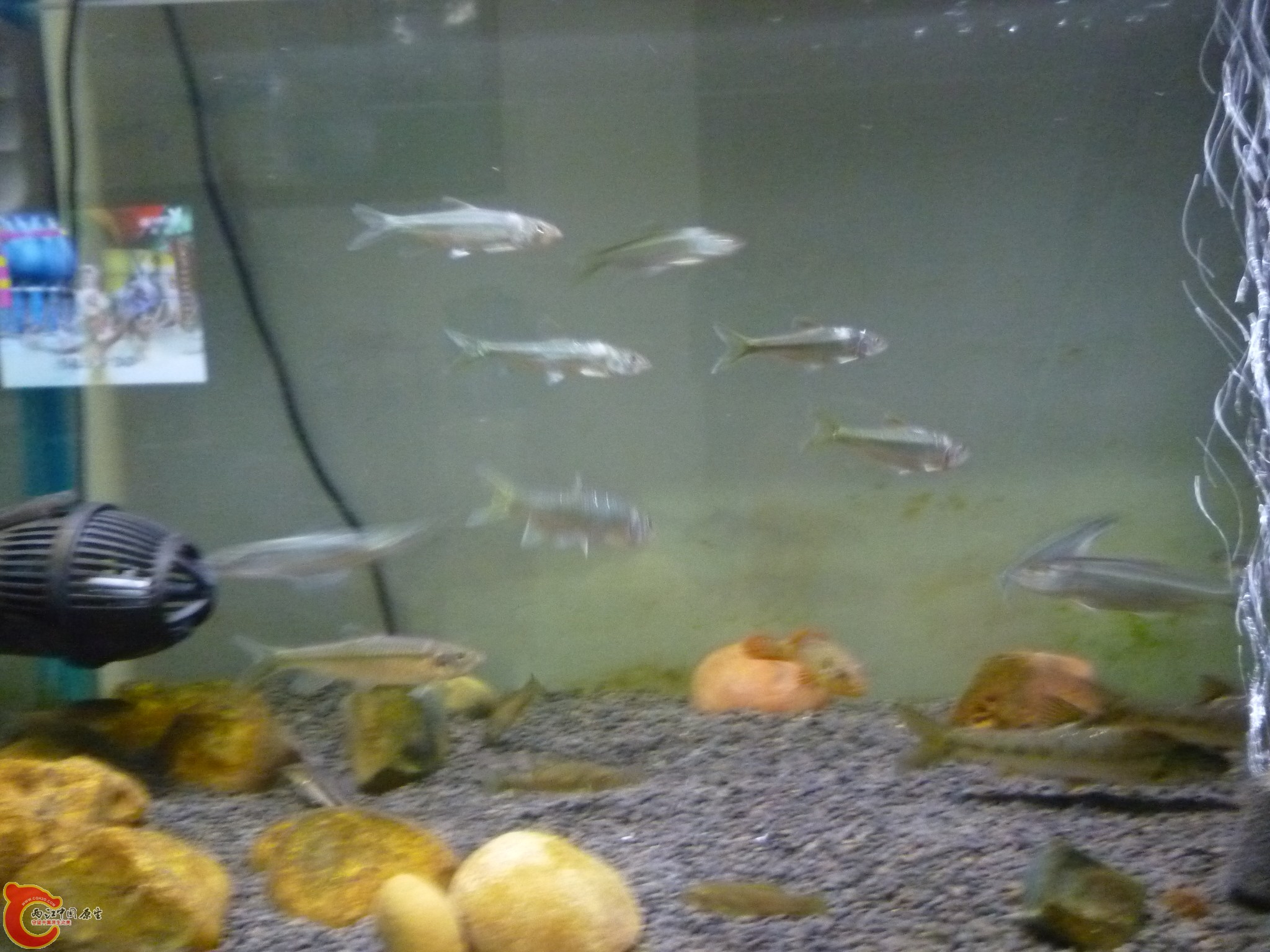 P1050494.JPG