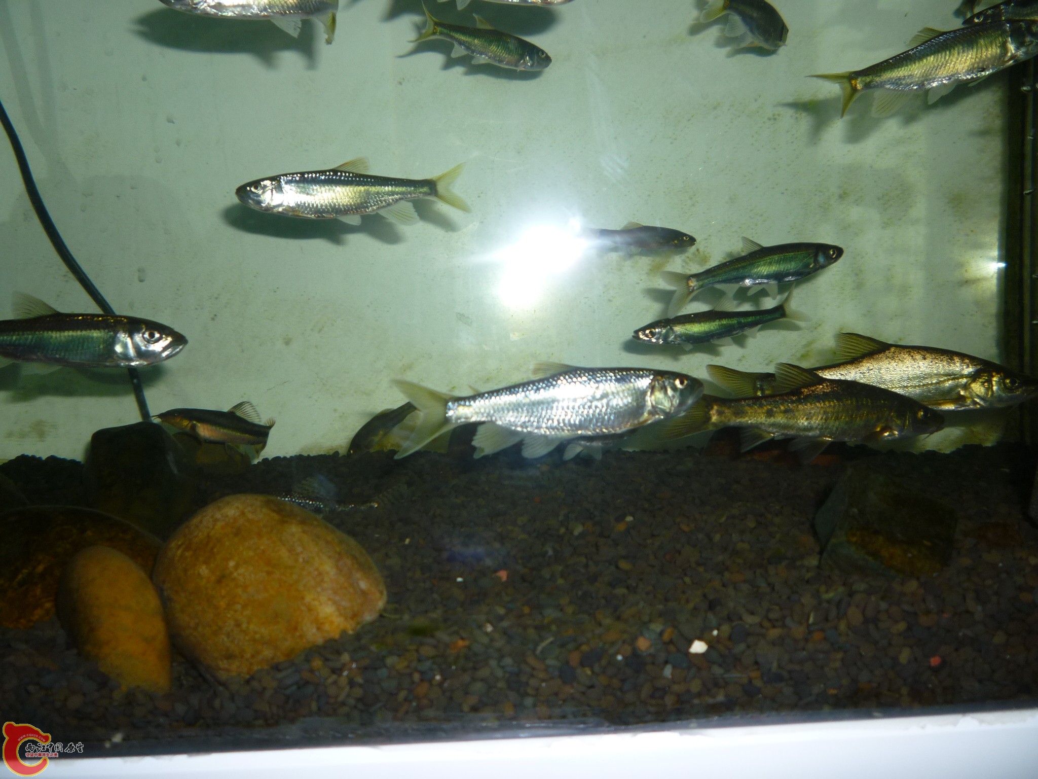 P1050500.JPG
