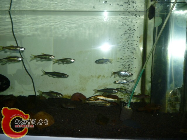 P1050509.JPG