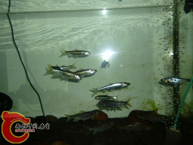 P1050510.JPG