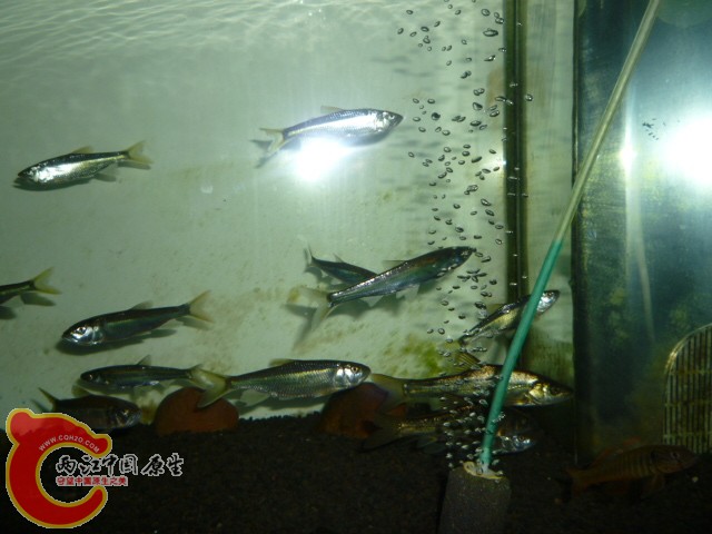 P1050511.JPG