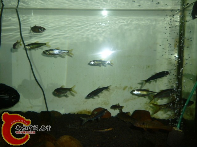 P1050515.JPG