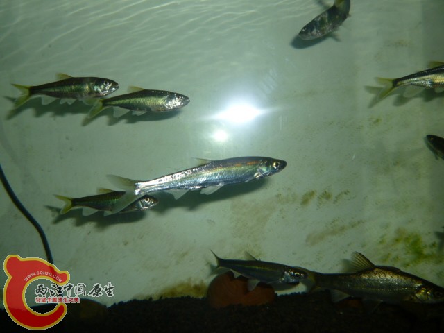 P1050517.JPG