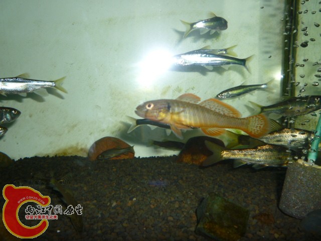 P1050519.JPG