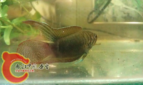 IMAG0853.jpg