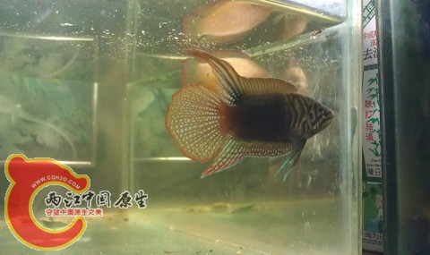 IMAG0858.jpg