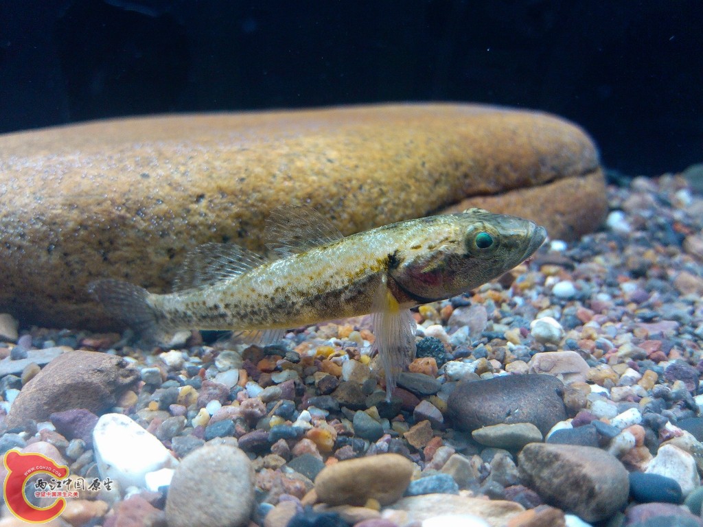 IMG_20120501_223722 (1024x768).jpg