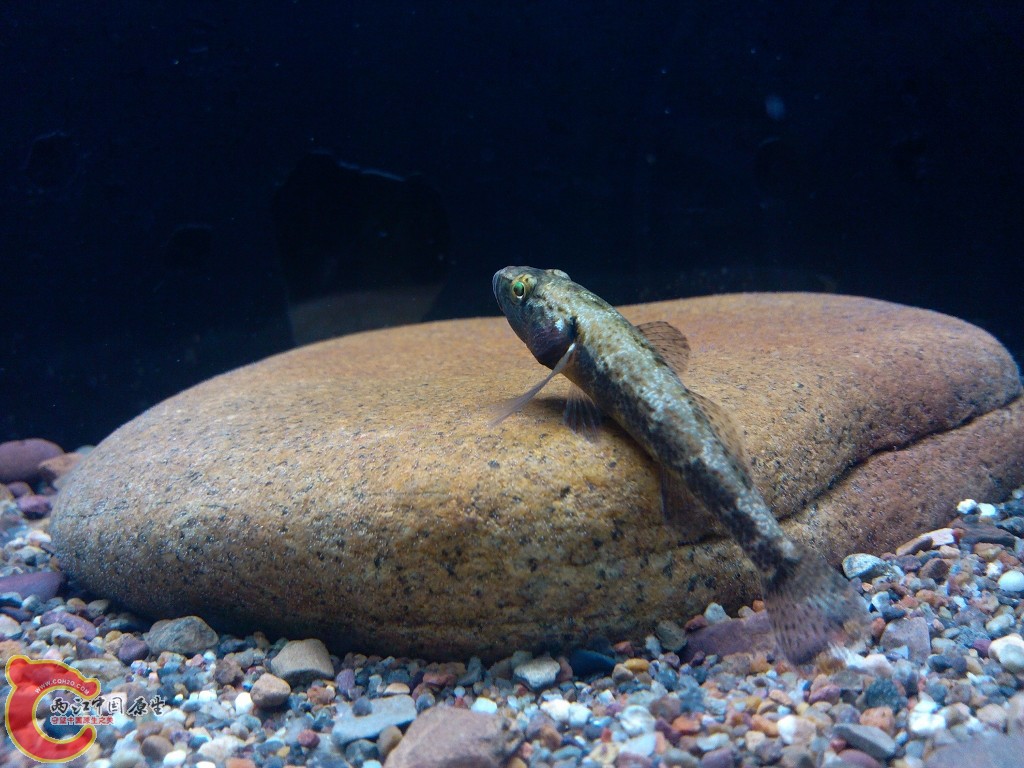 IMG_20120501_223515 (1024x768).jpg