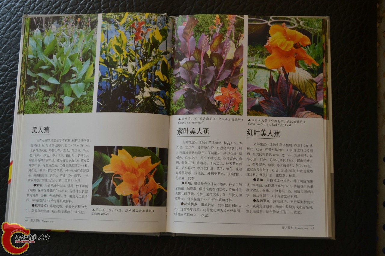 201105142139.jpg