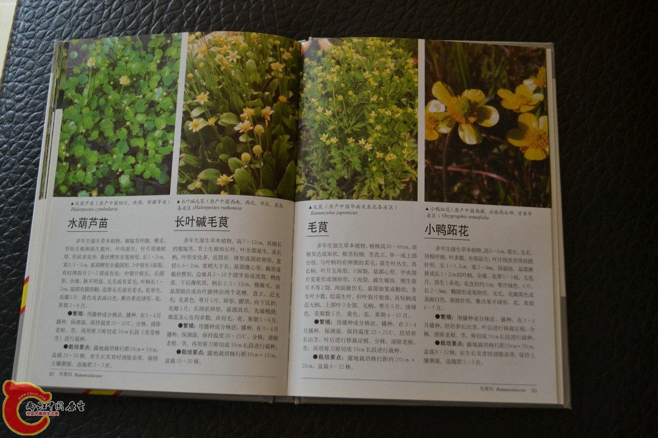 201105142157.jpg