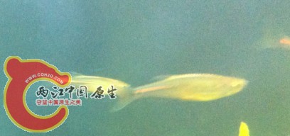 未命名3.jpg