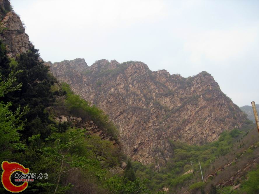 照片 1036.jpg
