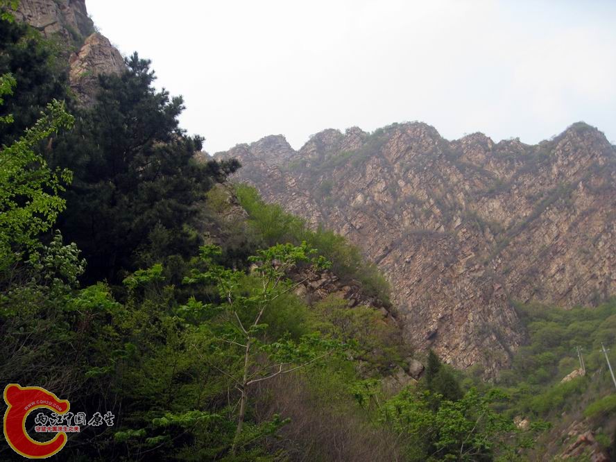 照片 1037.jpg