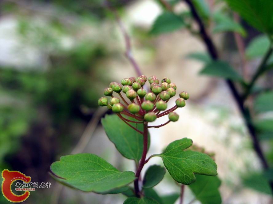 照片 1101.jpg