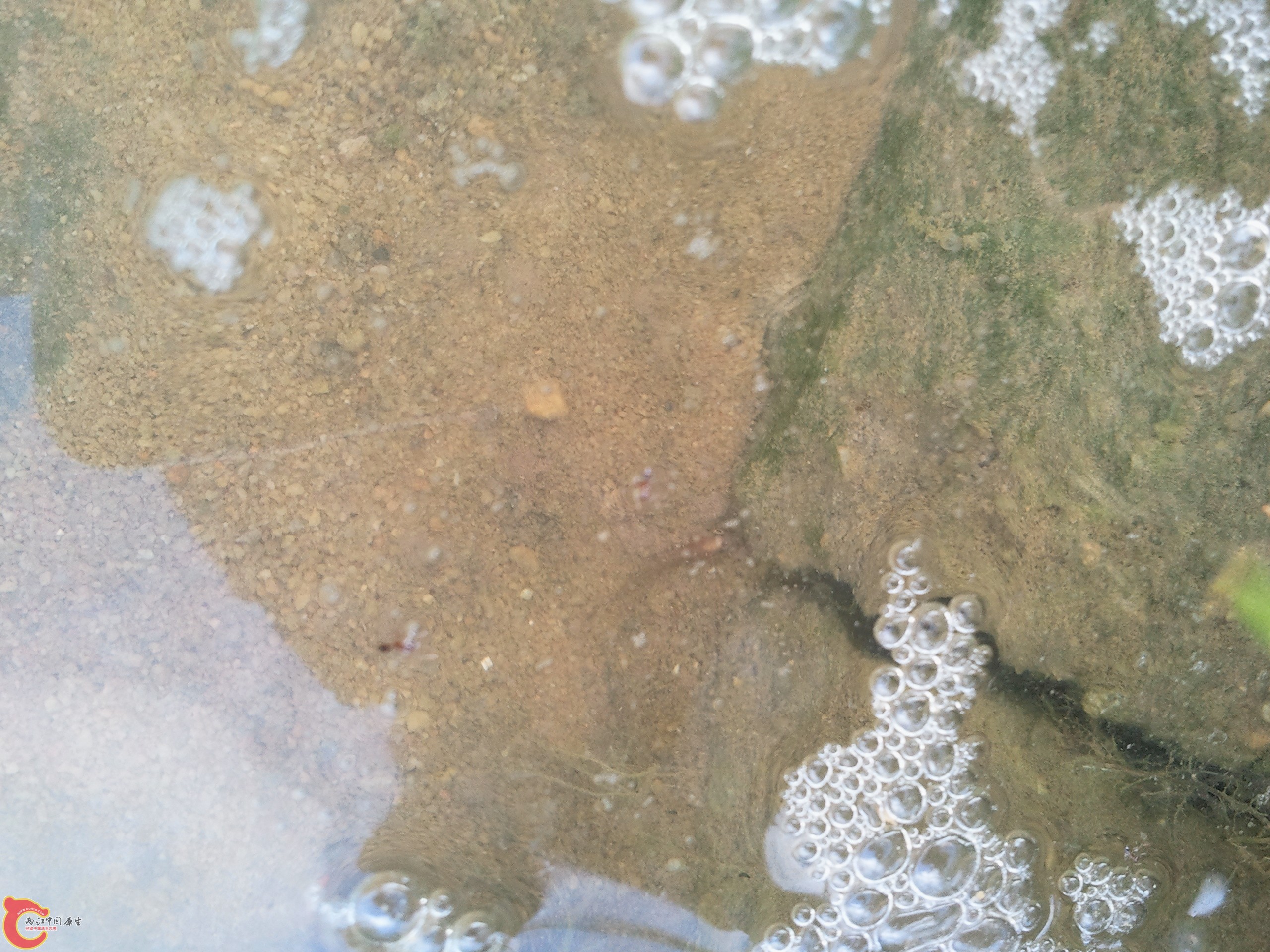 2012-05-01 17.36.37.jpg