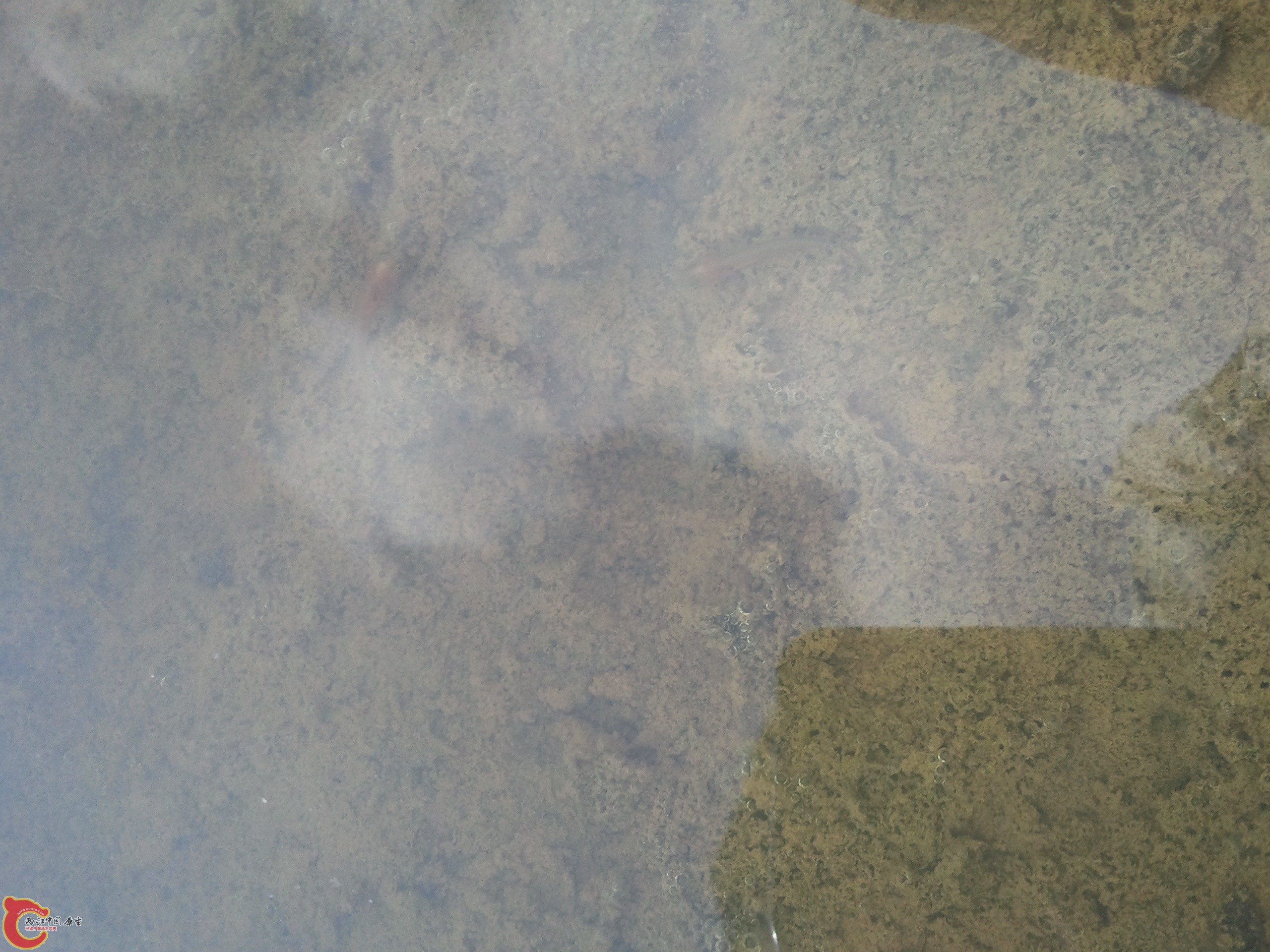 2012-05-01 16.58.46.jpg