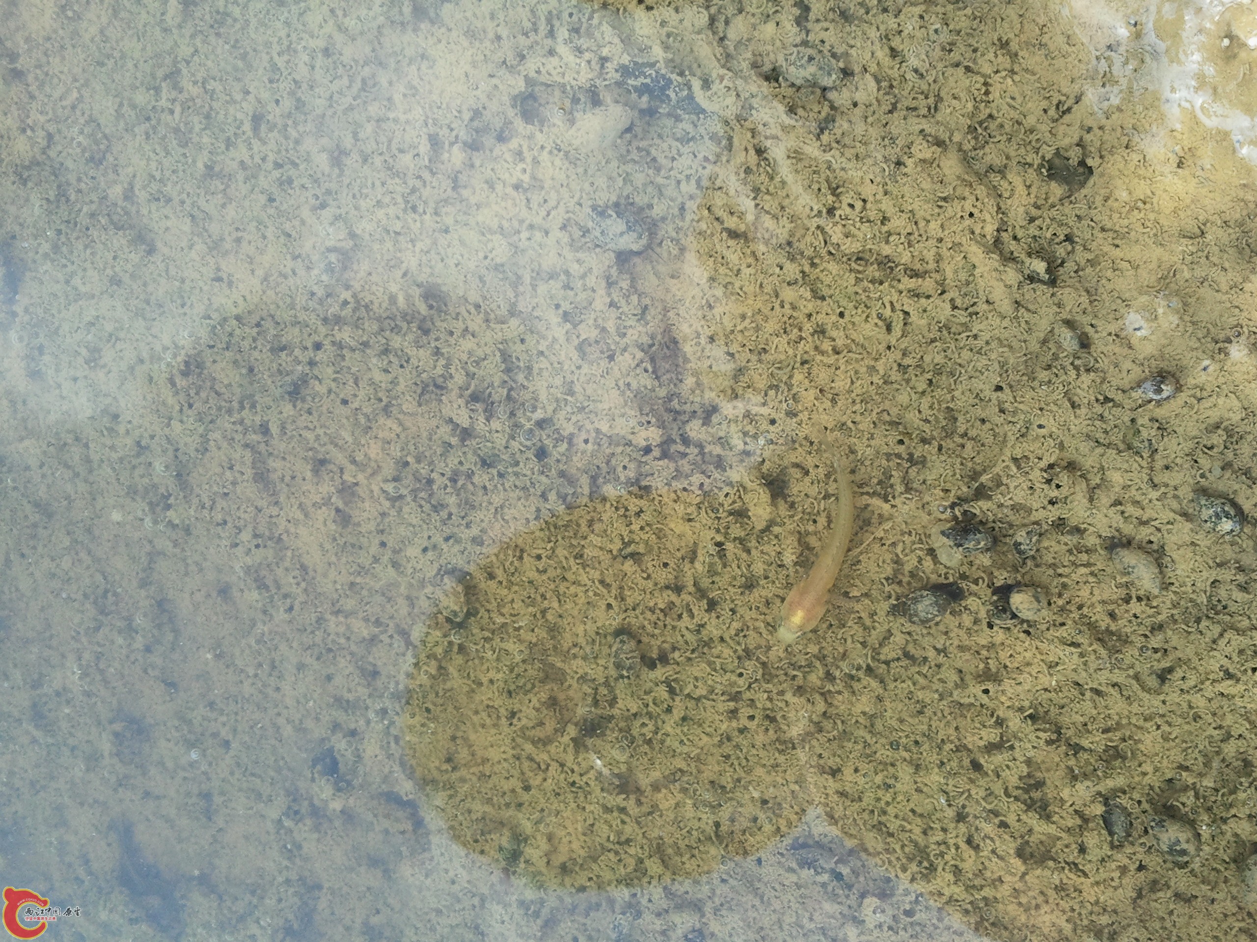 2012-05-01 16.59.00.jpg