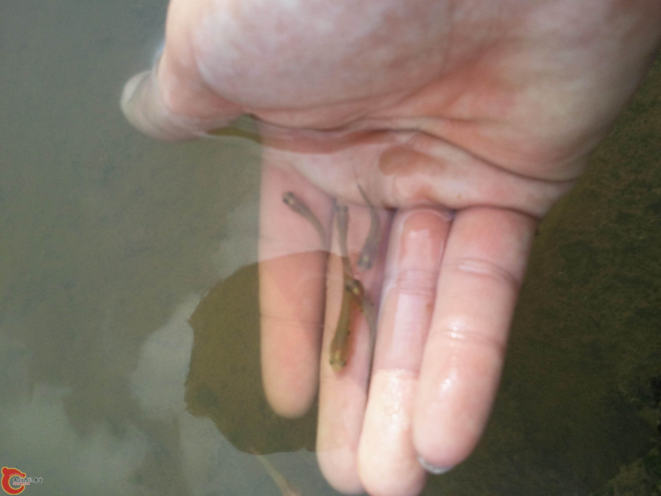 2012-05-01 17.00.45.jpg