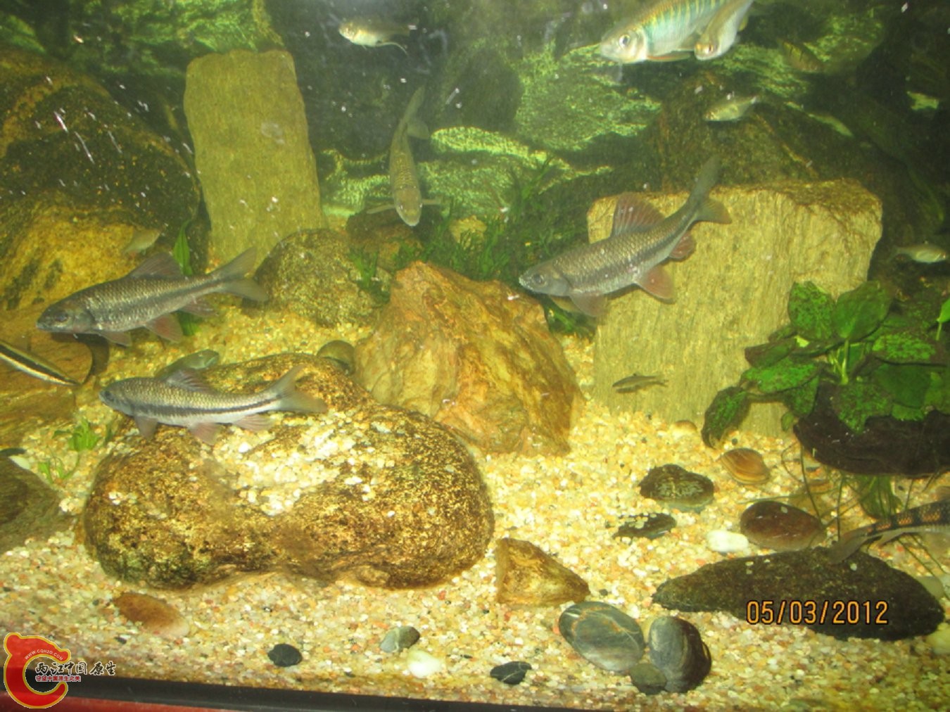 IMG_0051.jpg