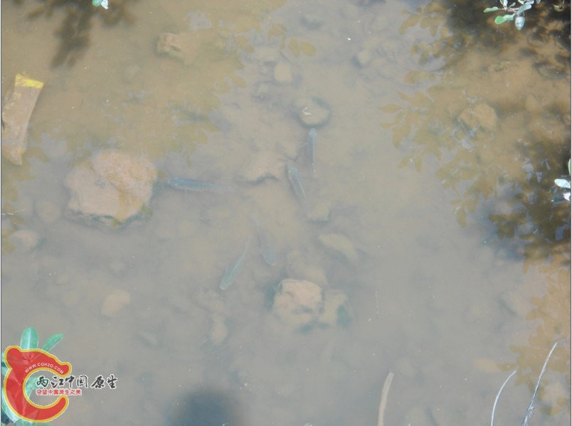FJDNX9}@KL9M8JB){%[W~OG.jpg