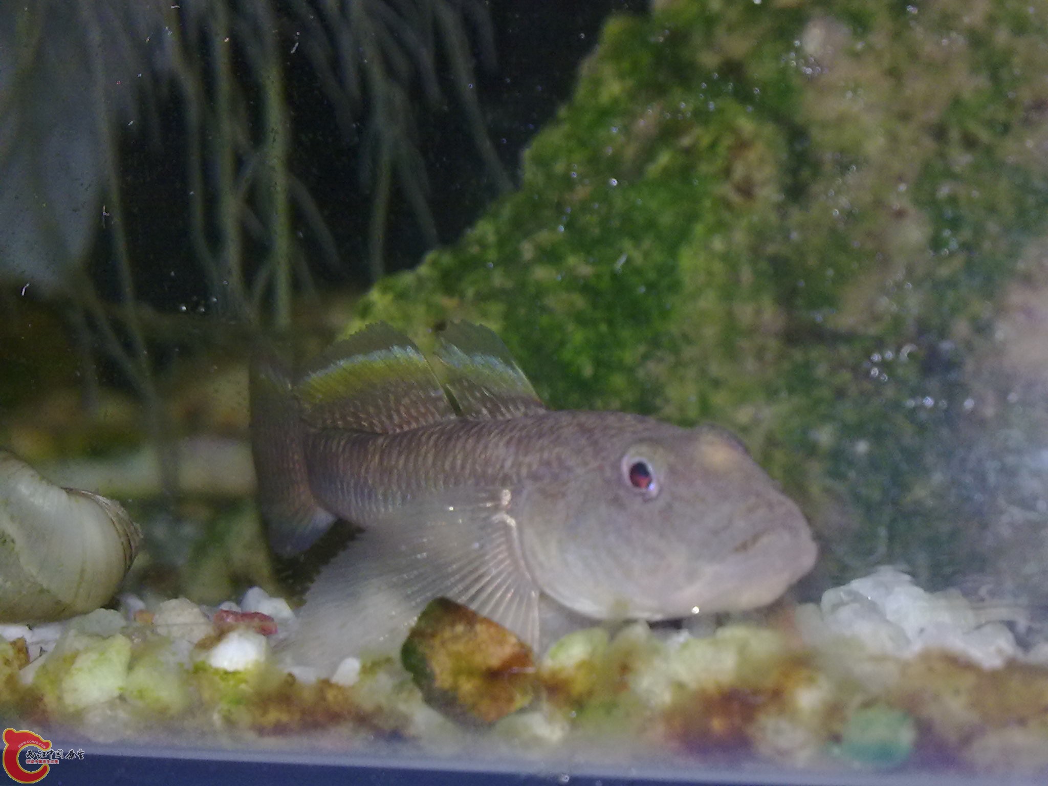 20120504775.jpg