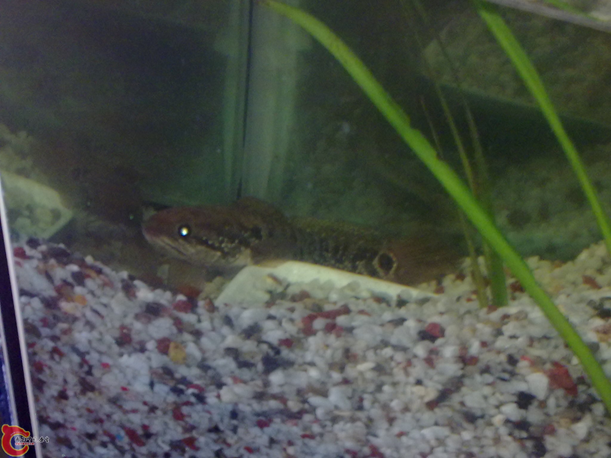 20120504789.jpg