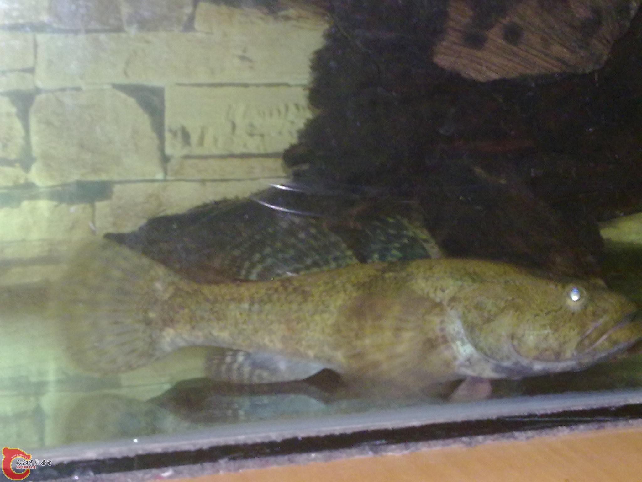 20120504814.jpg