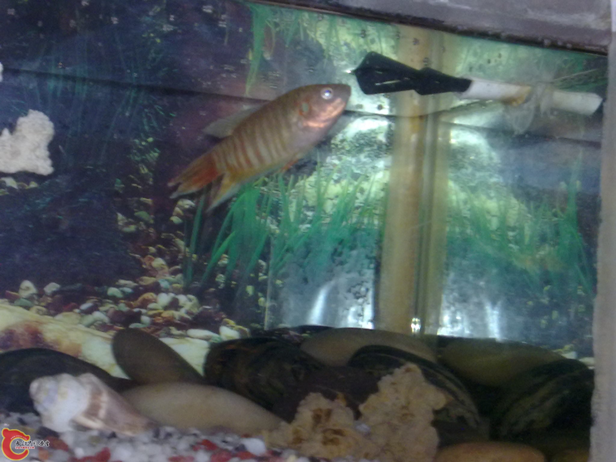 20120504818.jpg