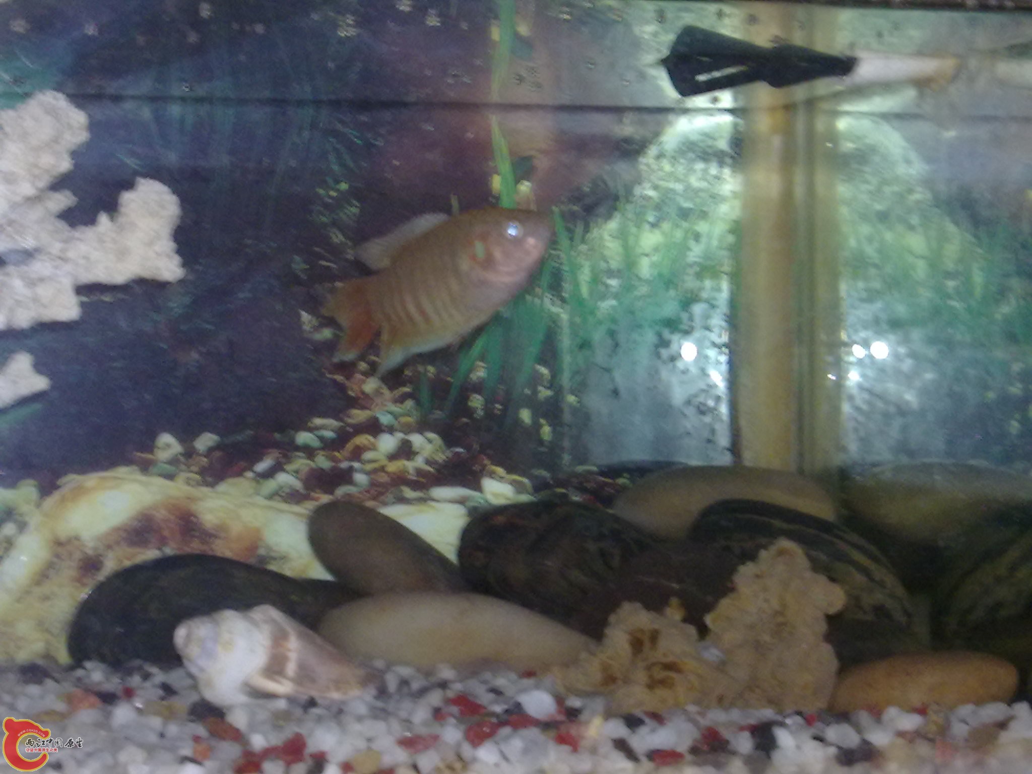 20120504819.jpg