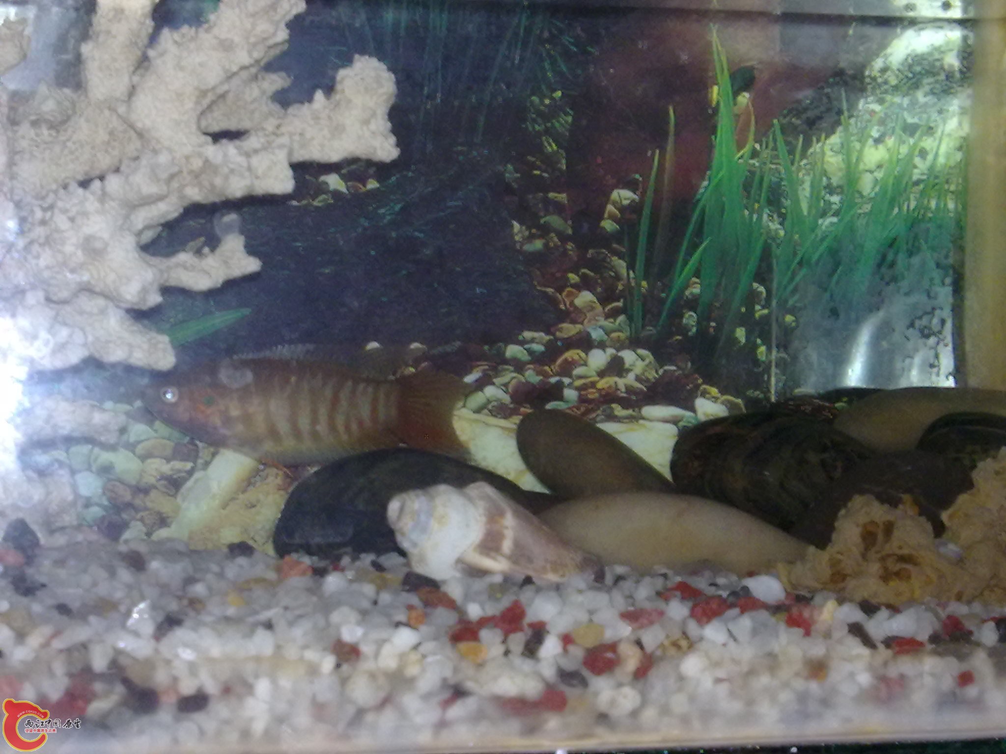 20120504821.jpg