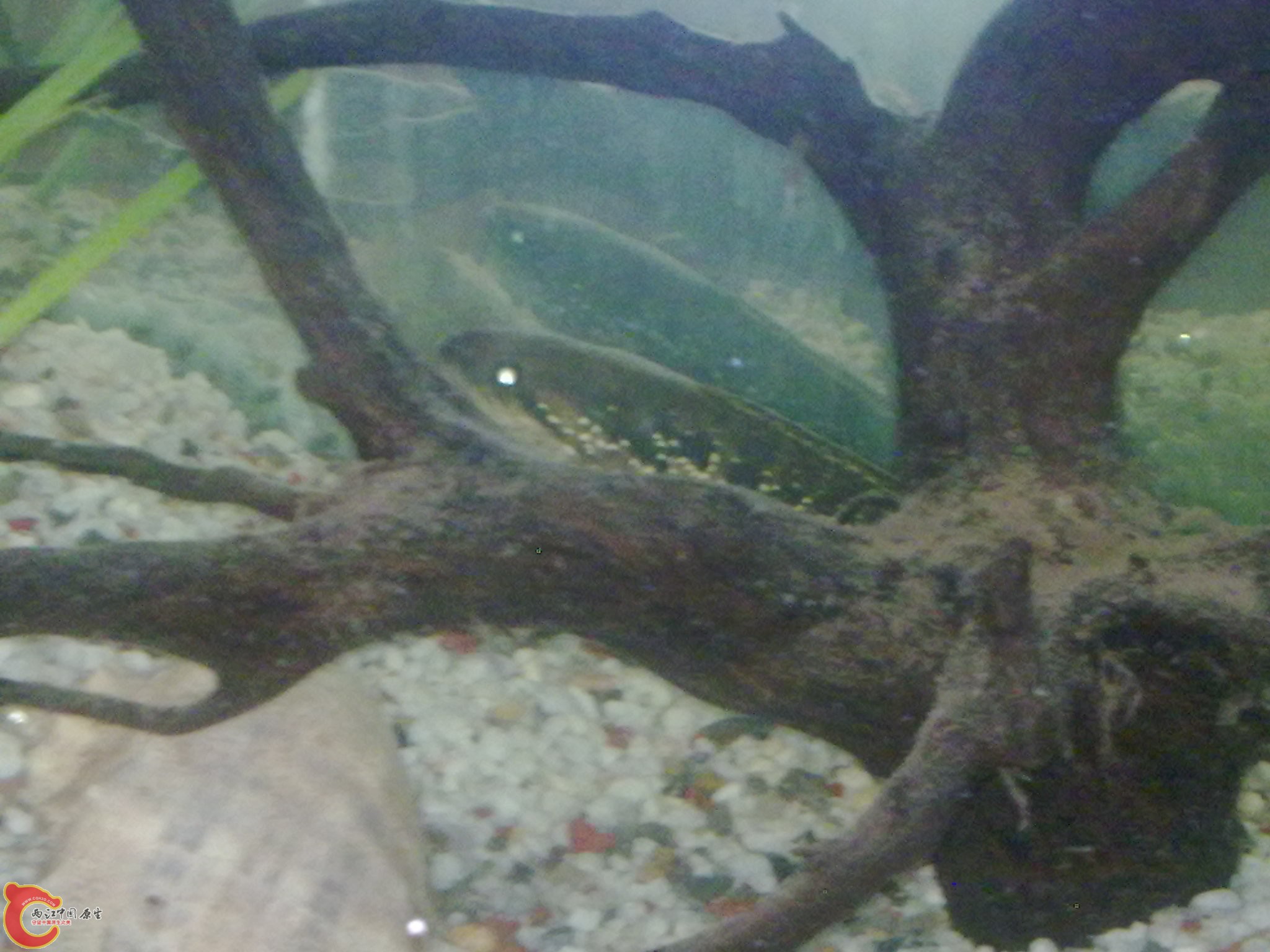 20120504823.jpg