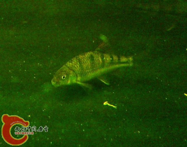 DSC_0365.JPG