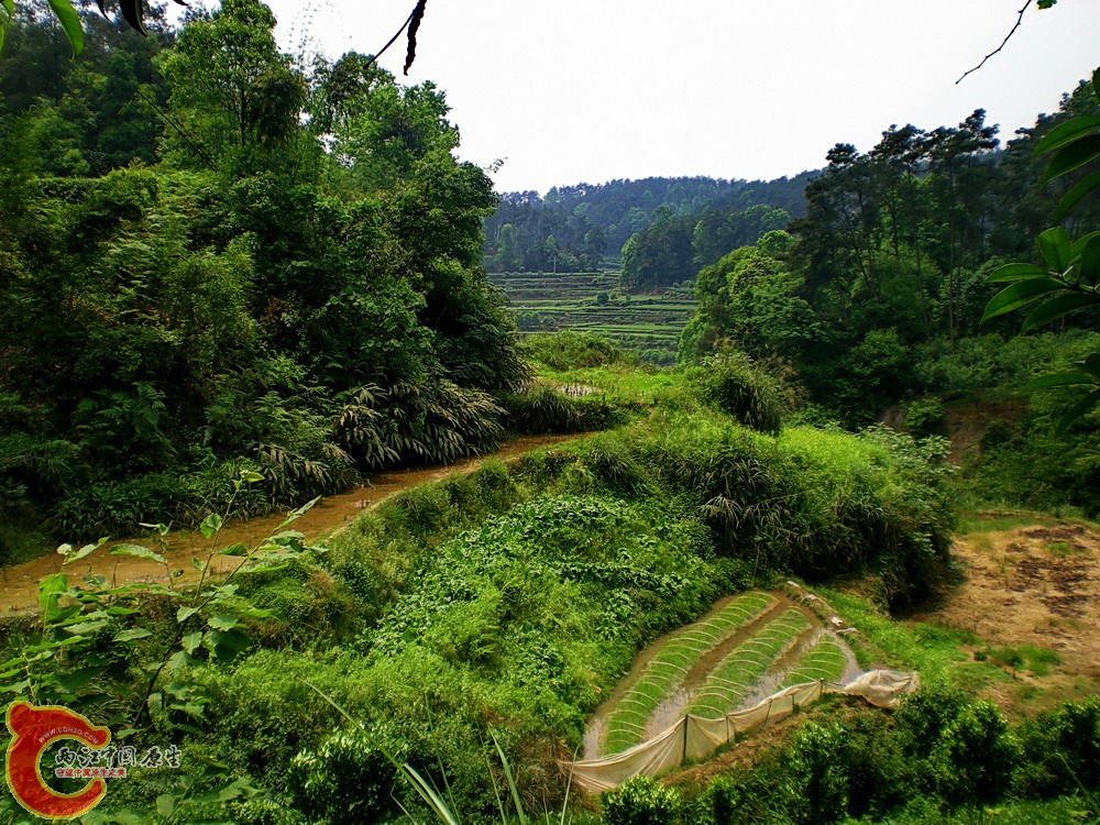 DSCN3593.JPG