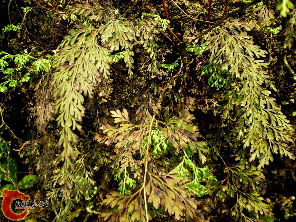 DSCN3595.JPG