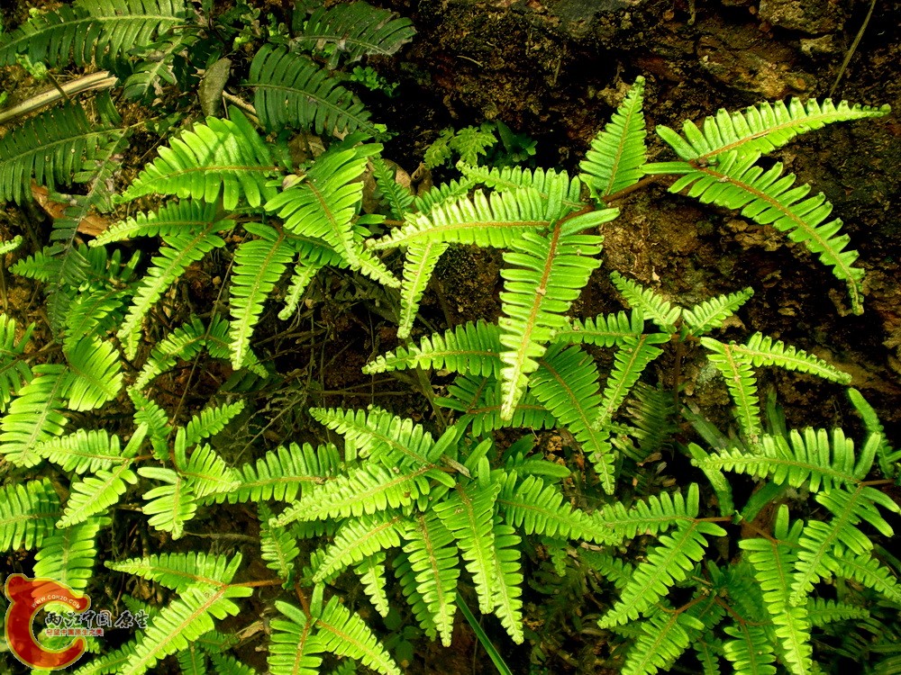 DSCN3588.JPG
