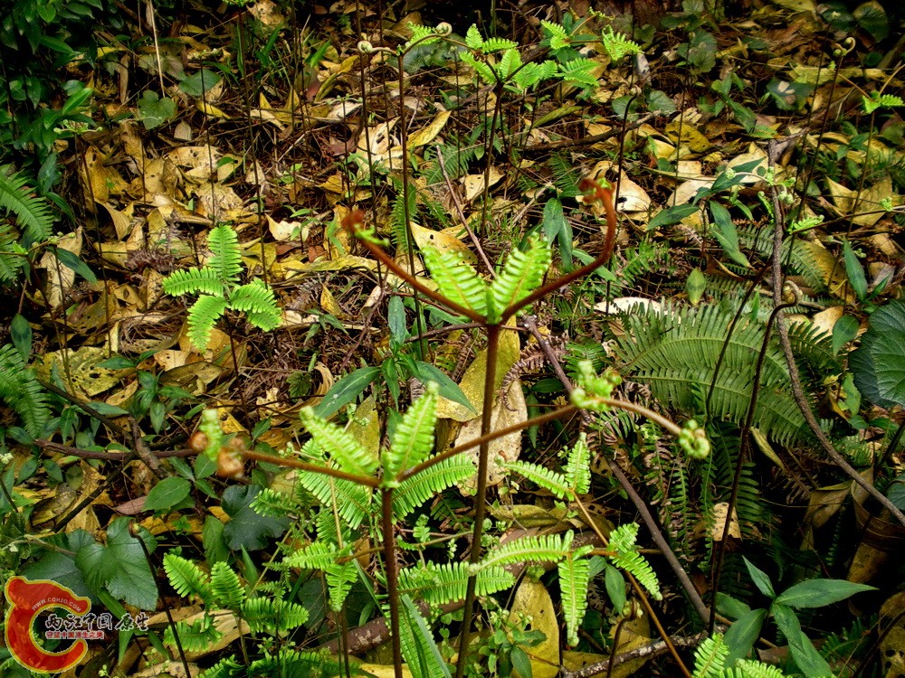 DSCN3600.JPG